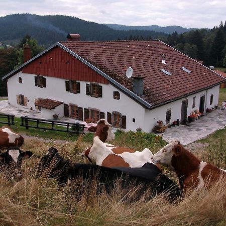 Appartement La Timoniere Gerardmer Bagian luar foto