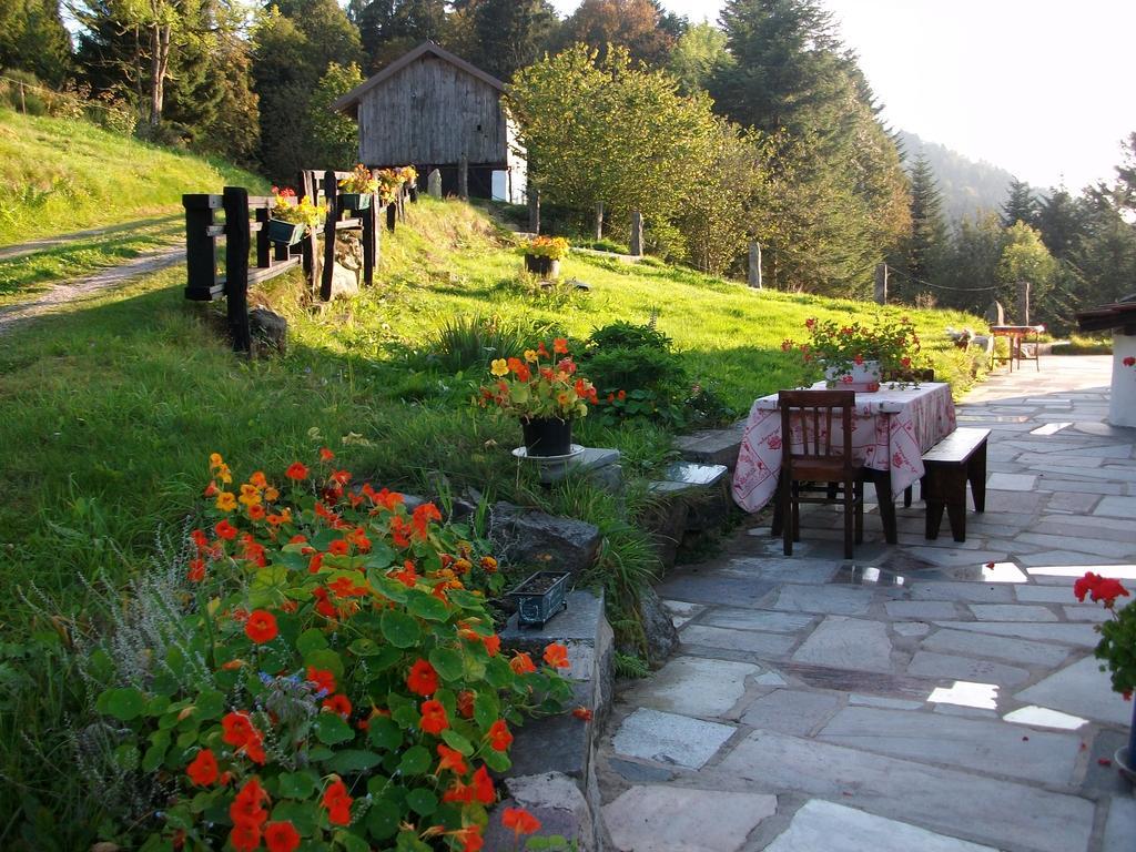 Appartement La Timoniere Gerardmer Bagian luar foto