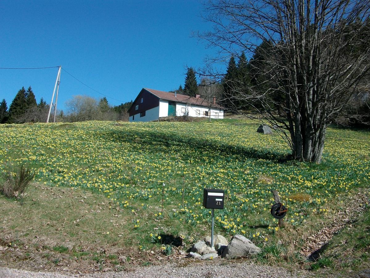 Appartement La Timoniere Gerardmer Bagian luar foto