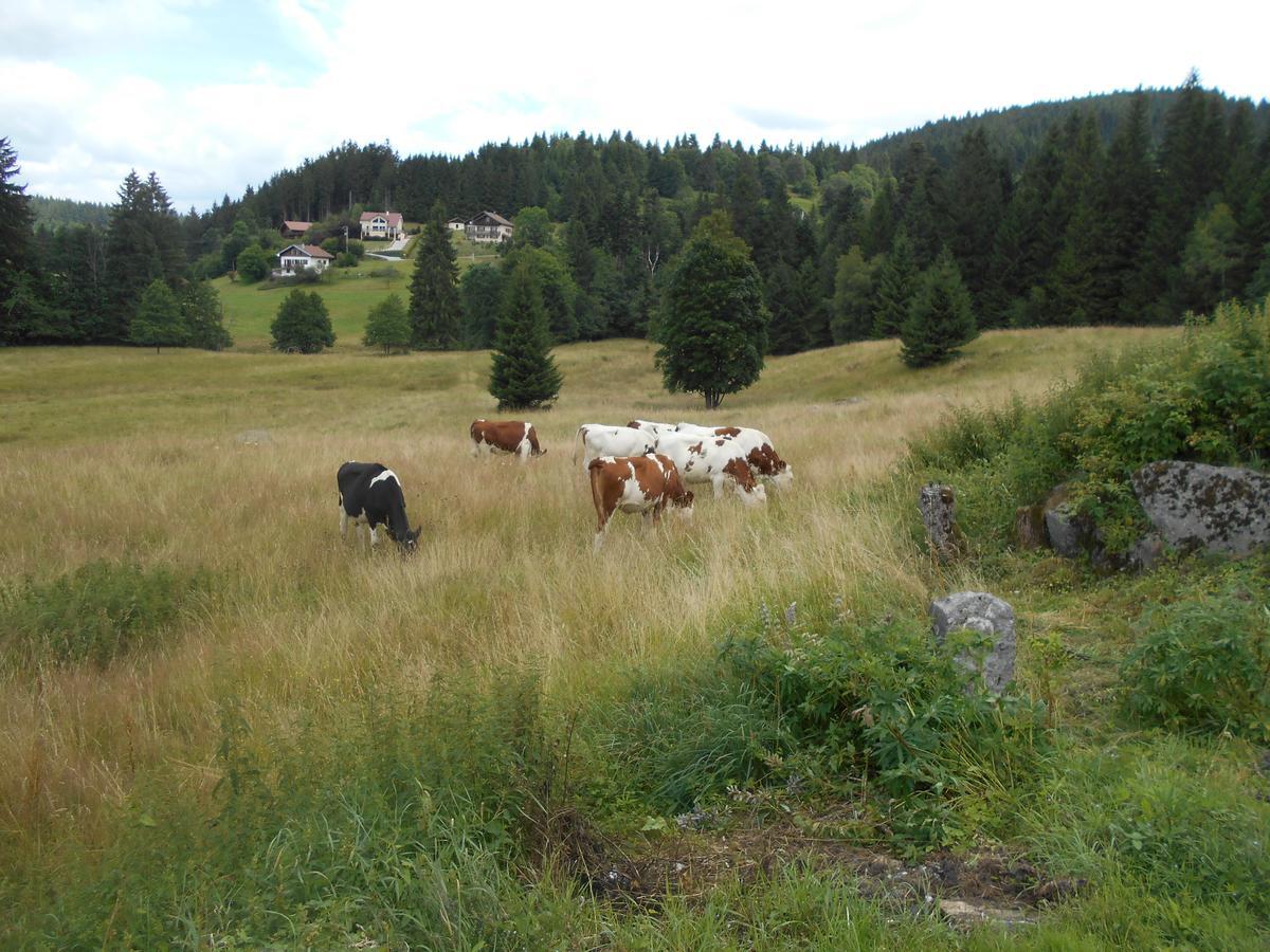 Appartement La Timoniere Gerardmer Bagian luar foto