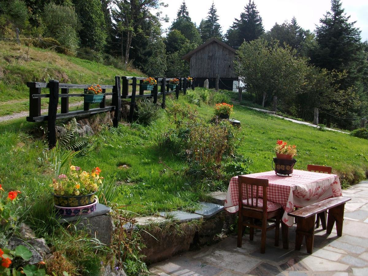 Appartement La Timoniere Gerardmer Bagian luar foto