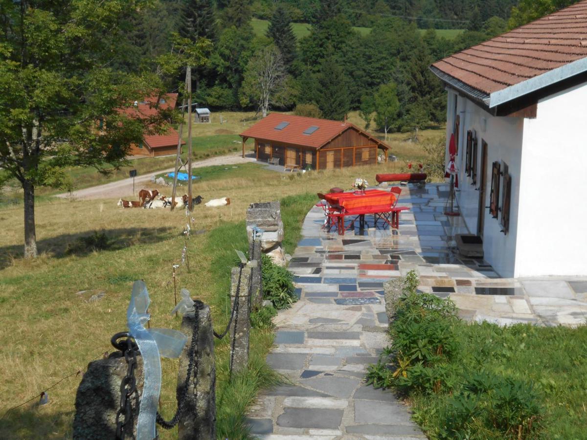 Appartement La Timoniere Gerardmer Bagian luar foto